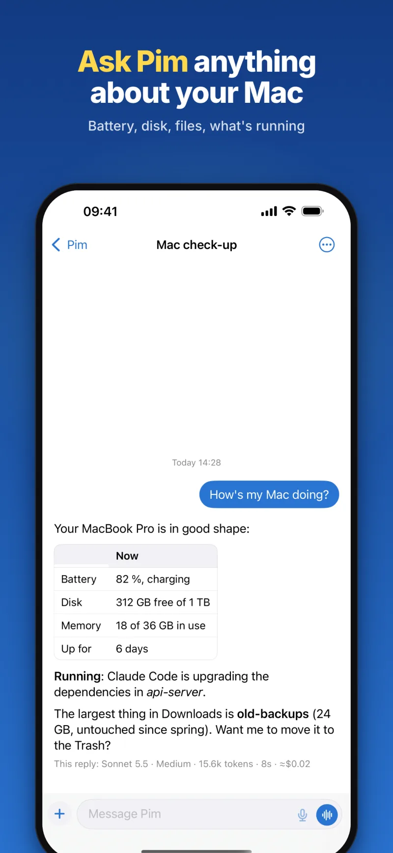 Ask Pim about your Mac: battery, disk, memory and uptime in a table, what's running, and the largest folder in Downloads